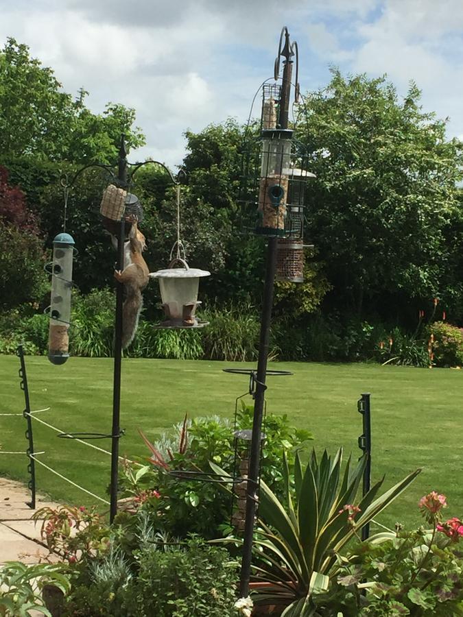 Castle Farmhouse Bed And Breakfast Glenfield Exterior foto